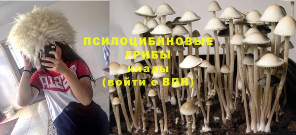 стаф Лагань