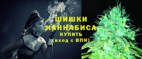 ГАЛЛЮЦИНОГЕННЫЕ ГРИБЫ Лабытнанги