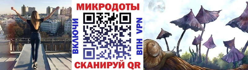 Псилоцибиновые грибы GOLDEN TEACHER  shop Telegram  Олёкминск  kraken вход 