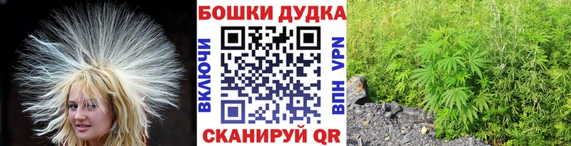 Конопля план  Олёкминск 